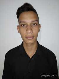 Yenderwin Palomino